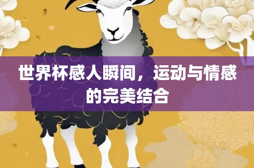 世界杯感人瞬间，运动与情感的完美结合漯河市盈旭机械设备有限公司