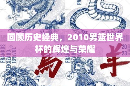 回顾历史经典，2010男篮世界杯的辉煌与荣耀漯河市盈旭机械设备有限公司