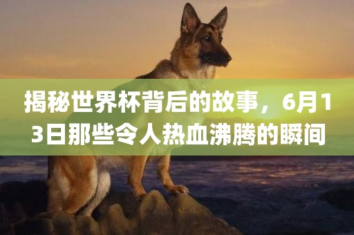 揭秘世界杯背后的故事，6月13日那些令人热血沸腾的瞬间