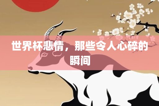 世界杯悲情，那些令人心碎的瞬间漯河市盈旭机械设备有限公司