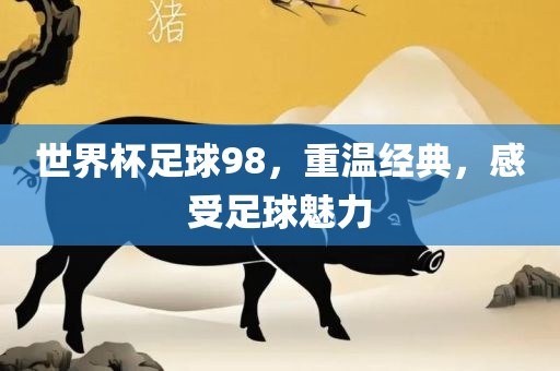 世界杯足球98，重温经典，感受足球魅力