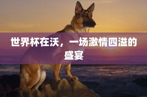 世漯河市盈旭机械设备有限公司界杯在沃，一场激情四溢的盛宴