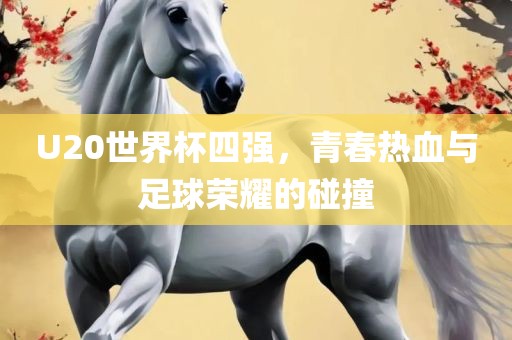 U20世界杯四强，青春热血与足球荣耀的碰撞漯河市盈旭机械设备有限公司