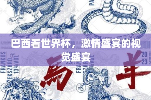 巴西看世界杯，激情盛宴的视觉盛宴