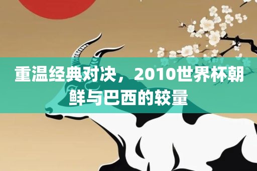 重温经典对决，2010世界杯朝鲜与巴西的较量漯河市盈旭机械设备有限公司