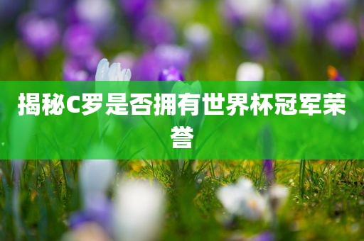 揭秘C罗是否拥有世界杯冠军荣誉漯河市盈旭机械设备有限公司