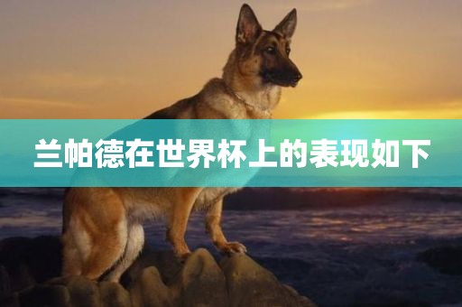 兰帕德在世界杯上的表现如下