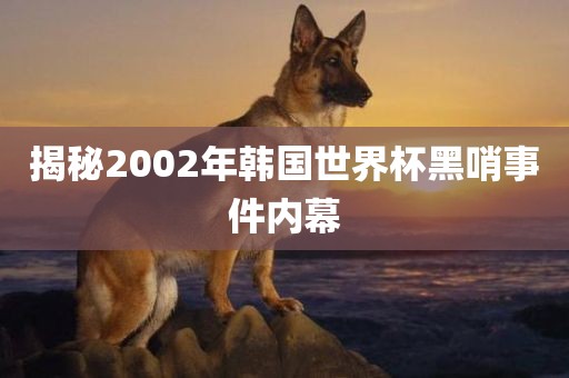 揭秘2002年韩国世界杯黑哨事件内幕漯河市盈旭机械设备有限公司