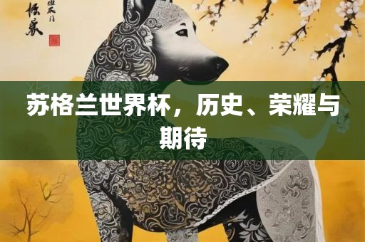 苏格兰世界杯，历史、荣耀与期待