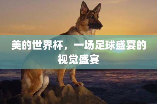 美的世界杯，一场足球盛宴的视觉盛宴