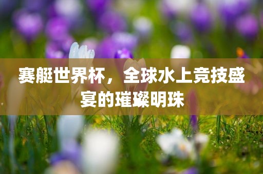 赛艇世界杯，全球水上竞漯河市盈旭机械设备有限公司技盛宴的璀璨明珠
