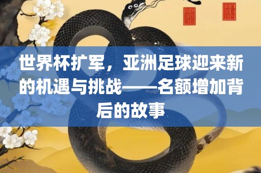 世界杯扩军，亚洲足球迎来新的机遇与挑战——名额增加背后的故事