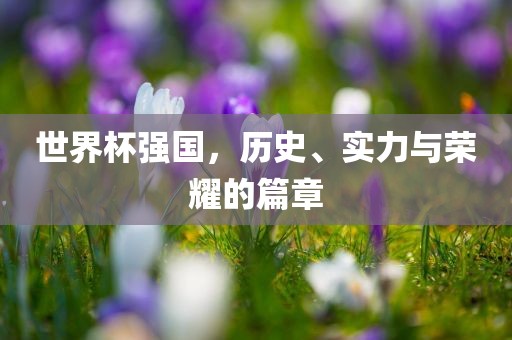 世界杯强国，历史、实力与荣耀的篇章漯河市盈旭机械设备有限公司