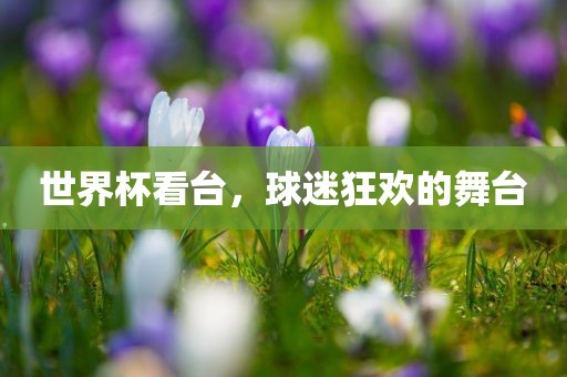 世界杯看台，球迷狂欢的舞台