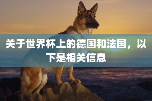关于世界杯上的德国和法国，以下是相关信息漯河市盈旭机械设备有限公司