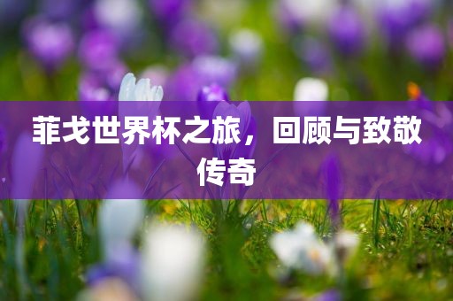 菲戈世界杯之旅，回顾与致敬传奇
