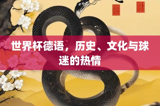 世界杯德语，历史、文化与球迷的热情