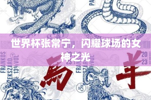世界杯张常宁，闪耀球场的女神之光