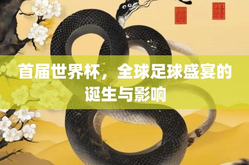 首届世界杯，全球足球盛宴的诞生与影响