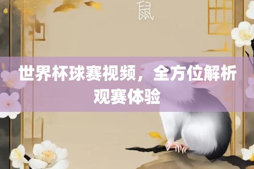 世界杯球赛视频，全方位解析观赛体验漯河市盈旭机械设备有限公司