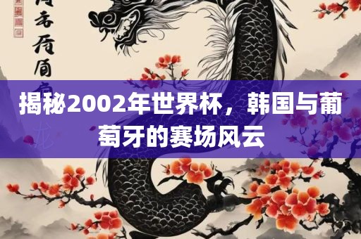 揭秘2002年世界杯，韩国与葡萄牙的赛场风云