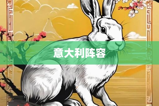 意大利阵容