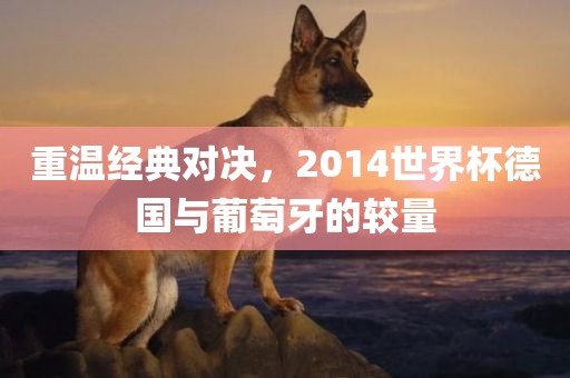 重温经典对决，2014世界杯德国与葡萄牙的较量