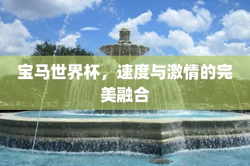 宝马世界杯，速度与激情的完美融合