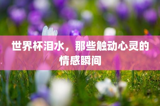 世界杯泪水，那些触动心灵的情感瞬间