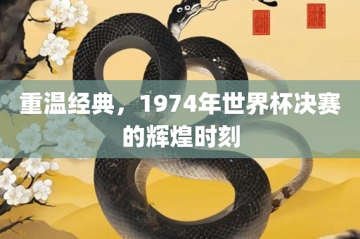 重温经典，1974年世界杯决赛的辉煌时刻