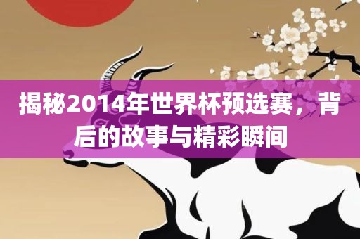 揭秘2014年世界杯预选赛，背后的故事与精彩瞬间
