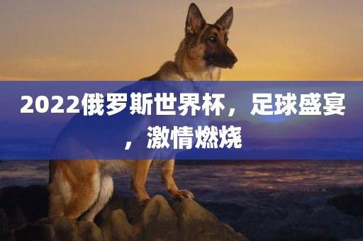2022俄罗斯世界杯，足球盛宴，激情燃烧