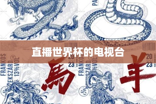 直漯河市盈旭机械设备有限公司播世界杯的电视台