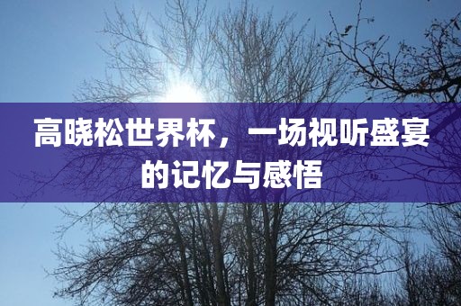 高晓松世界杯，一场视听盛宴的记忆与感悟