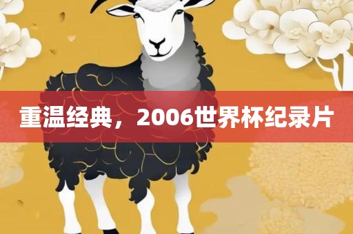 重温经典，2006世界杯纪录片