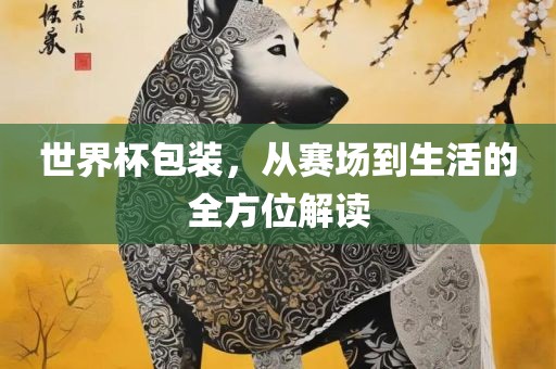 世界杯包装，从赛场到生活的全方位解读