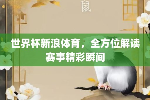 世界杯新浪体育，全方位解读赛事精彩瞬间