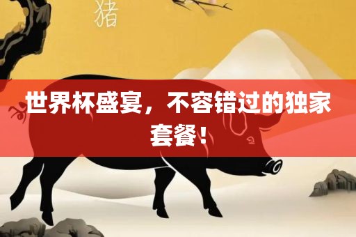 世界杯盛宴，不容错过的独家套餐！