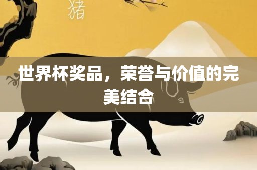 世界杯奖品，荣誉与价值的完美结合