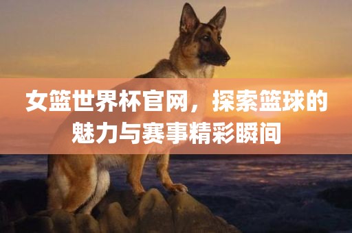 女篮世界杯官网，探索篮球的魅力与赛事精彩瞬间