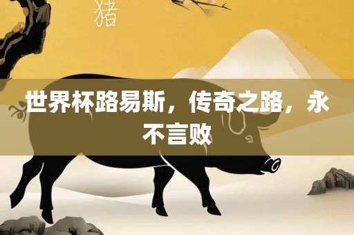 世界杯路易斯，传奇之路，永不言败