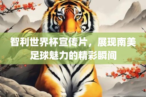 智利世界杯宣传片，展现南美足球魅力的精彩瞬间漯河市盈旭机械设备有限公司