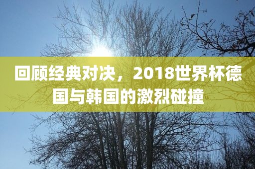 回顾经典对决，2018世界杯德国与韩国的激烈碰撞