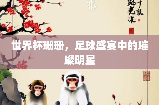 世界杯珊珊，足球盛宴中的璀璨明星