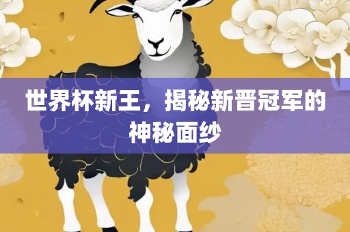 世界杯新王，揭秘新晋冠军的神秘面纱