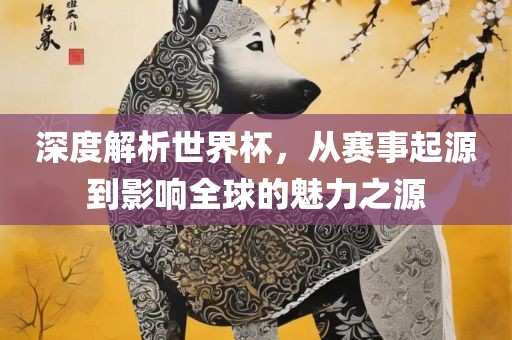 深度解析世界杯，从赛事起源到影响全球的魅力之源