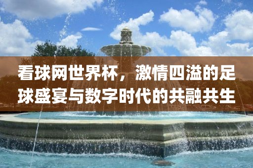 看球网世界杯，激情四溢的足球盛宴与数字时代的共融共生