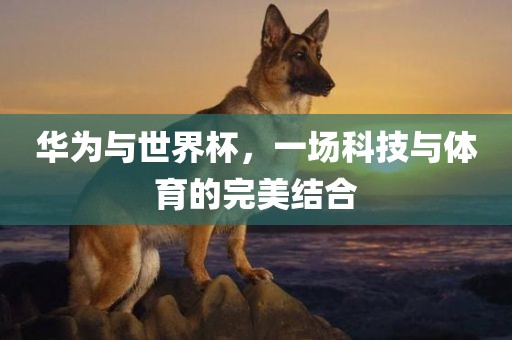 华为与世界杯，一场科技与体育的完美结合