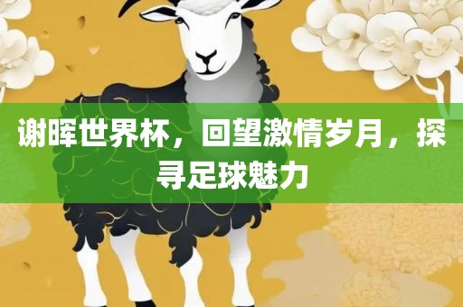 谢晖世界杯，回望激情岁月，探寻足球魅力