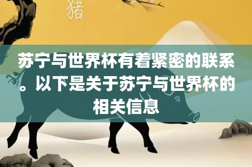 苏宁与世界杯有着紧密的联系。以下是关于苏宁与世界杯的相关信息